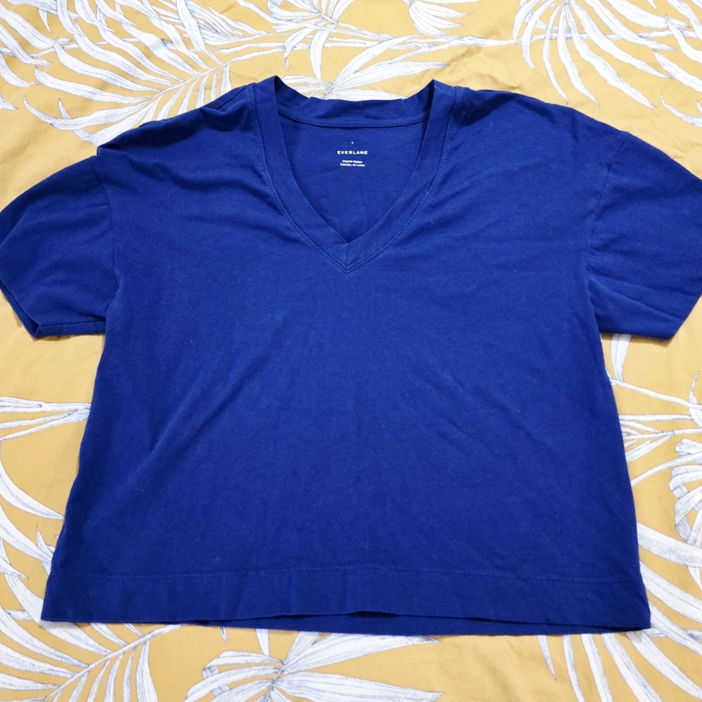 Everlane Blue Cropped V Neck T Shirt Athletic